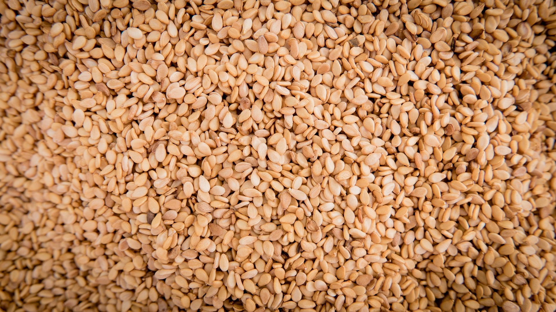 Close-up of roasted sesame seeds